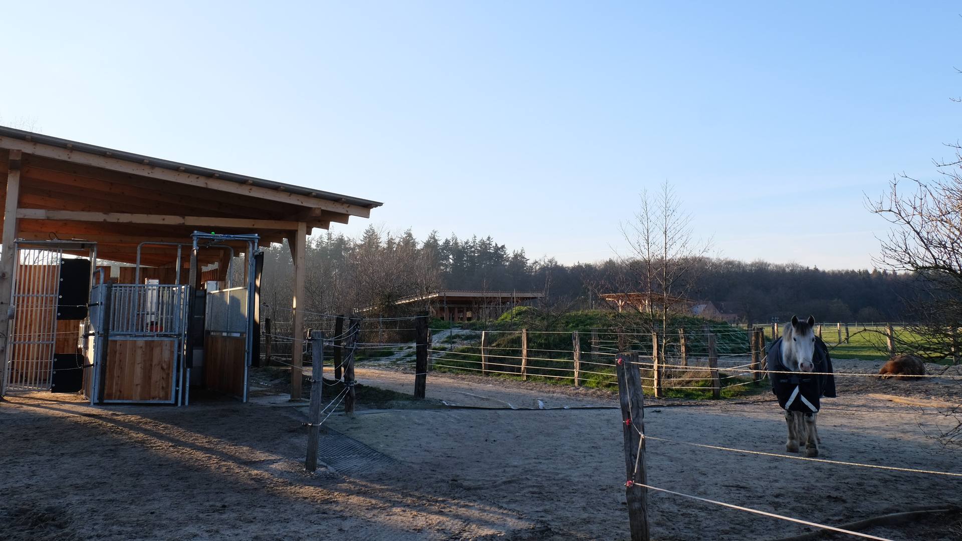 Kurse, Workshops & Events – ganz nach deinem Geschmack