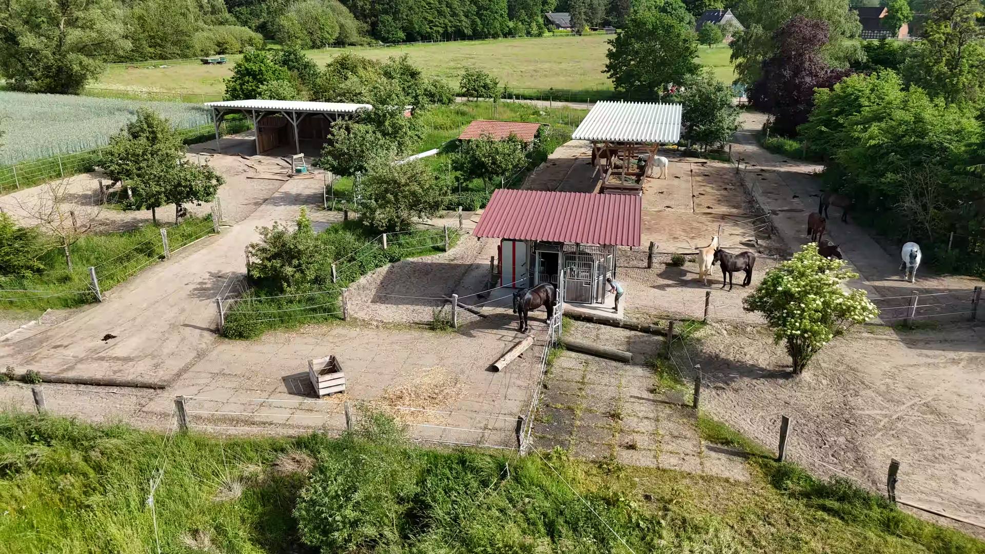 Aktivstall mit Paddock Trail in Thedinghausen