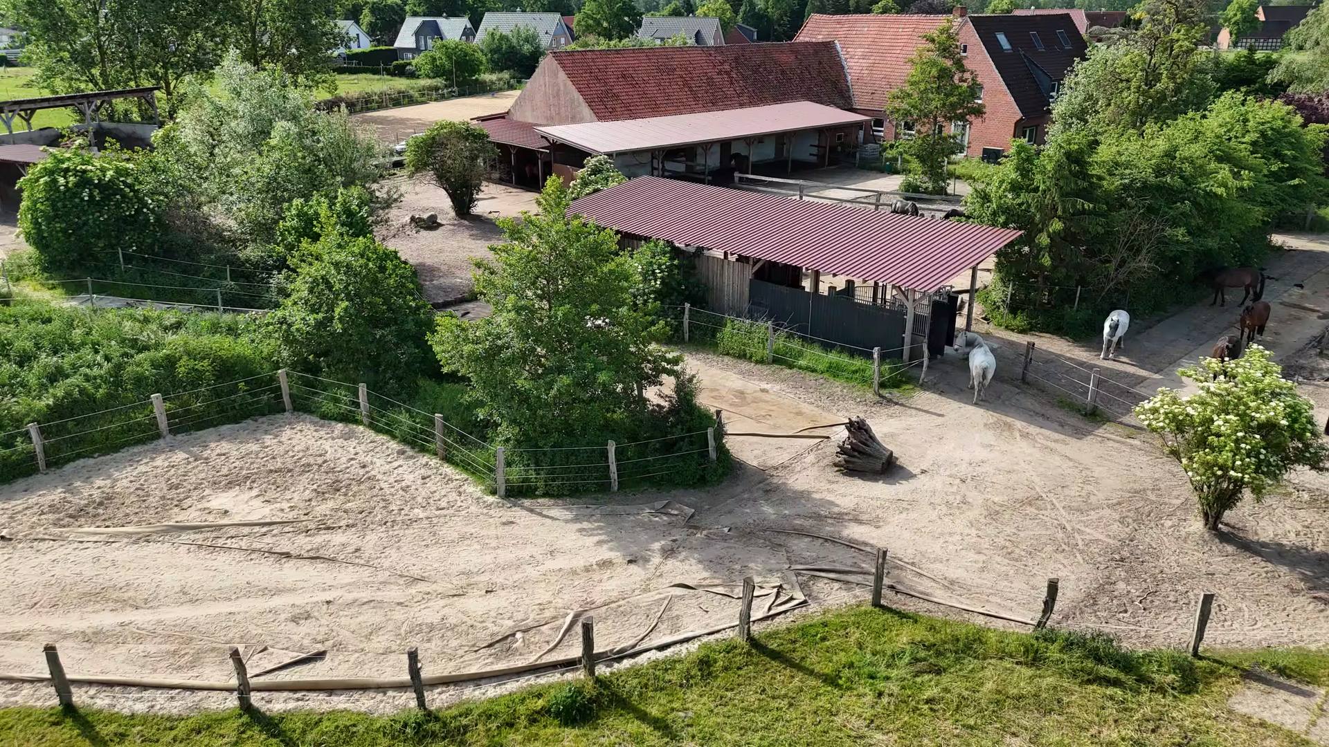 Artgerechte Pferdehaltung mit Bewegung, Ruhe und moderner Fütterung