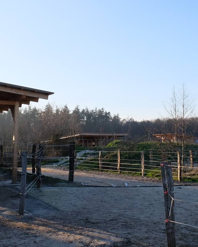 Kurse, Workshops & Events – ganz nach deinem Geschmack