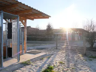 Aktivstall