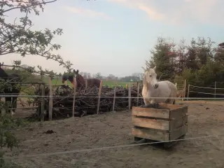 Integration