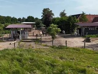 Aktivstall & Fütterung